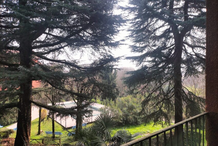 e29d688e-02e7-4a7d-b08f-5742ff069117