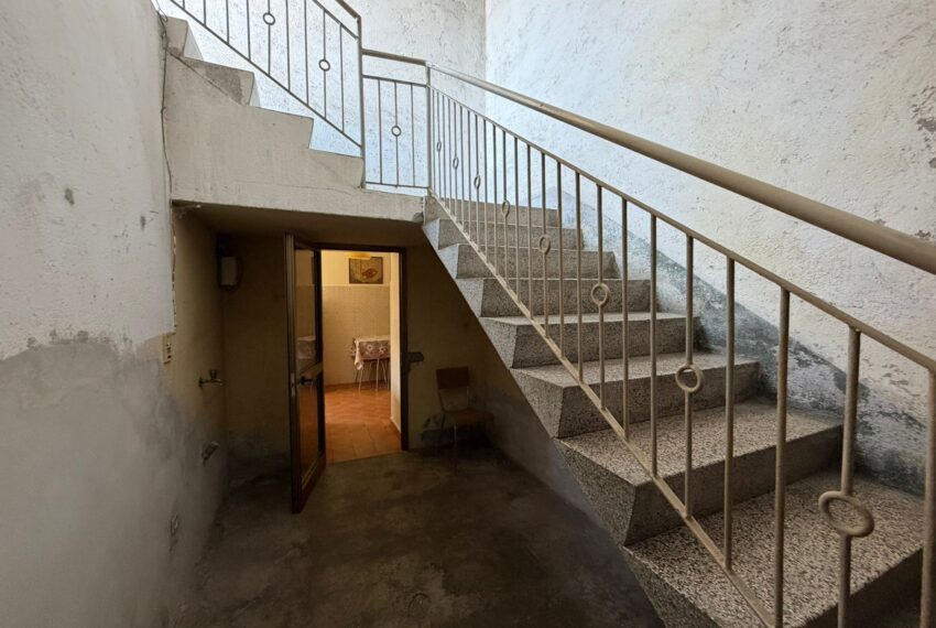 WhatsApp Image 2025-10-09 at 07.16.04